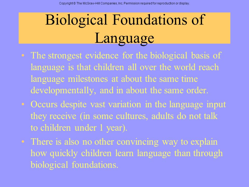 Biological foundations of adult sexual development